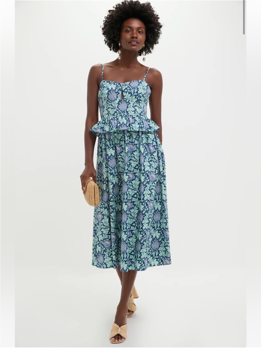 NWOT Hyacinth House Blue Leafy Floral Maeve Midi Dress